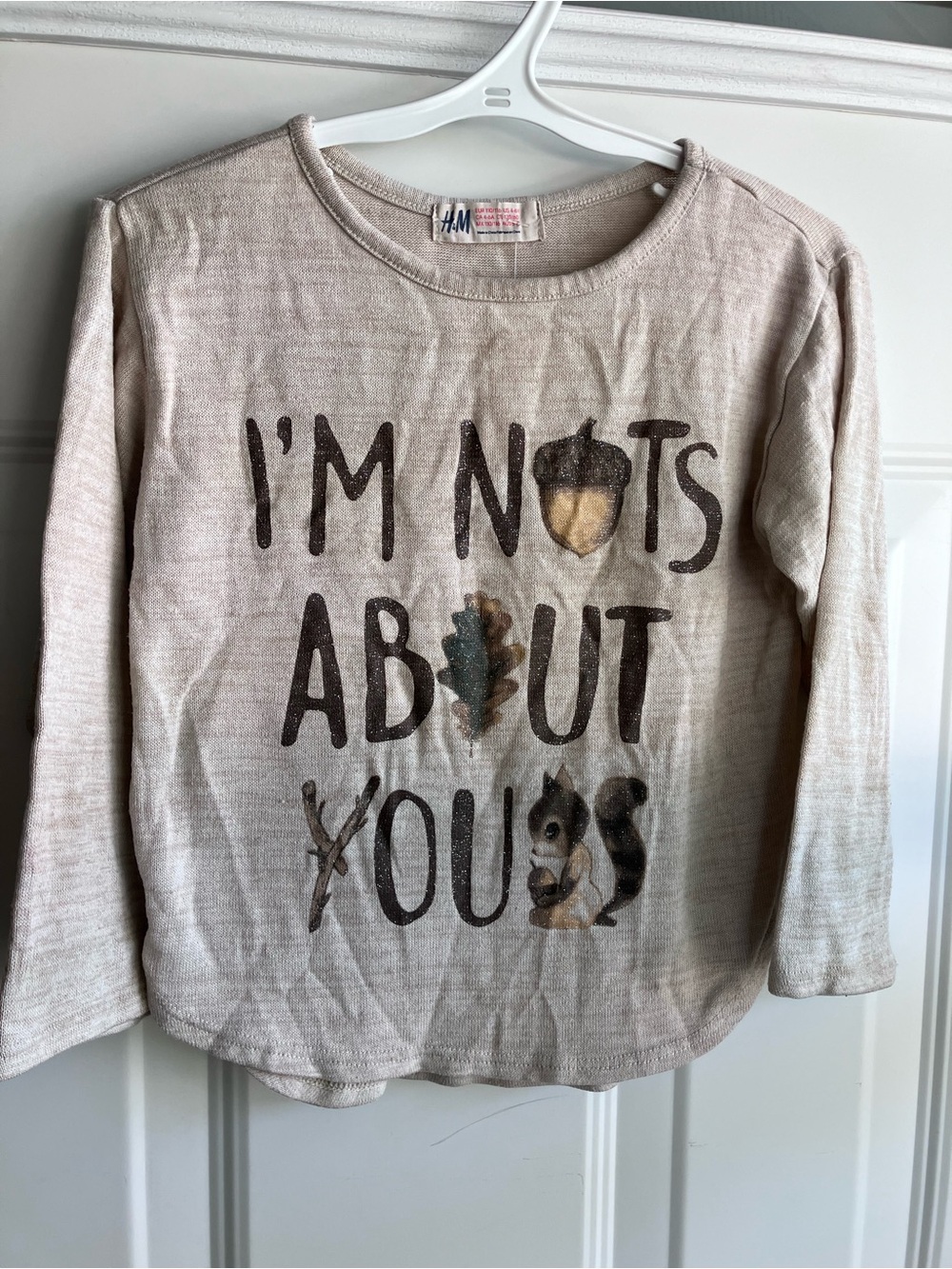 H&M fall squirrel beige long sleeve shirt 4-6 years